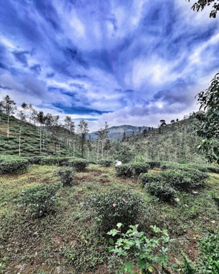 Noah'S Nest Tree House Apartment Thekkady Exterior photo