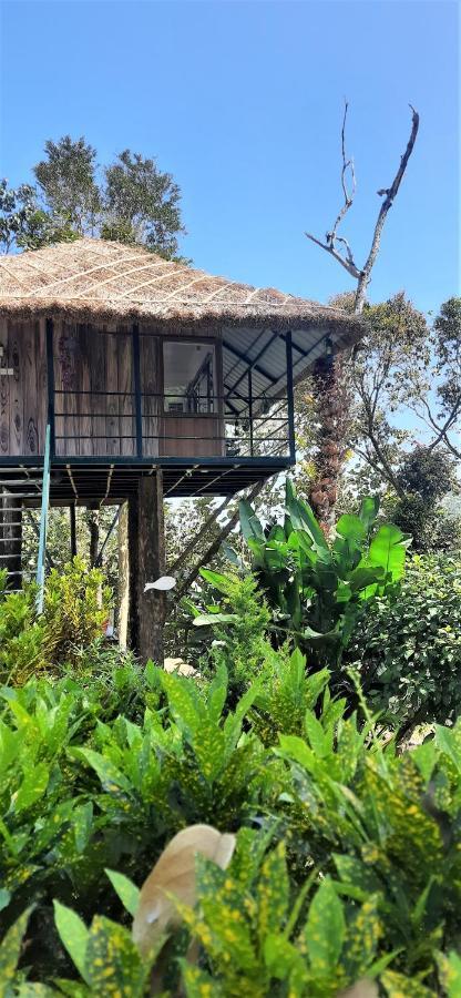 Noah'S Nest Tree House Apartment Thekkady Exterior photo