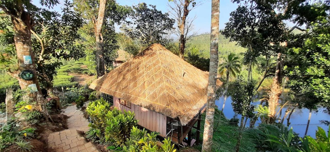 Noah'S Nest Tree House Apartment Thekkady Exterior photo