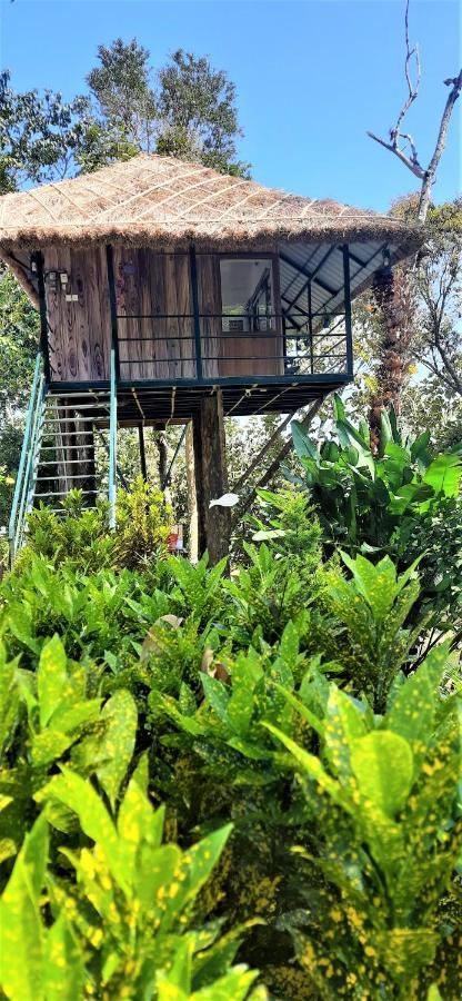 Noah'S Nest Tree House Apartment Thekkady Exterior photo