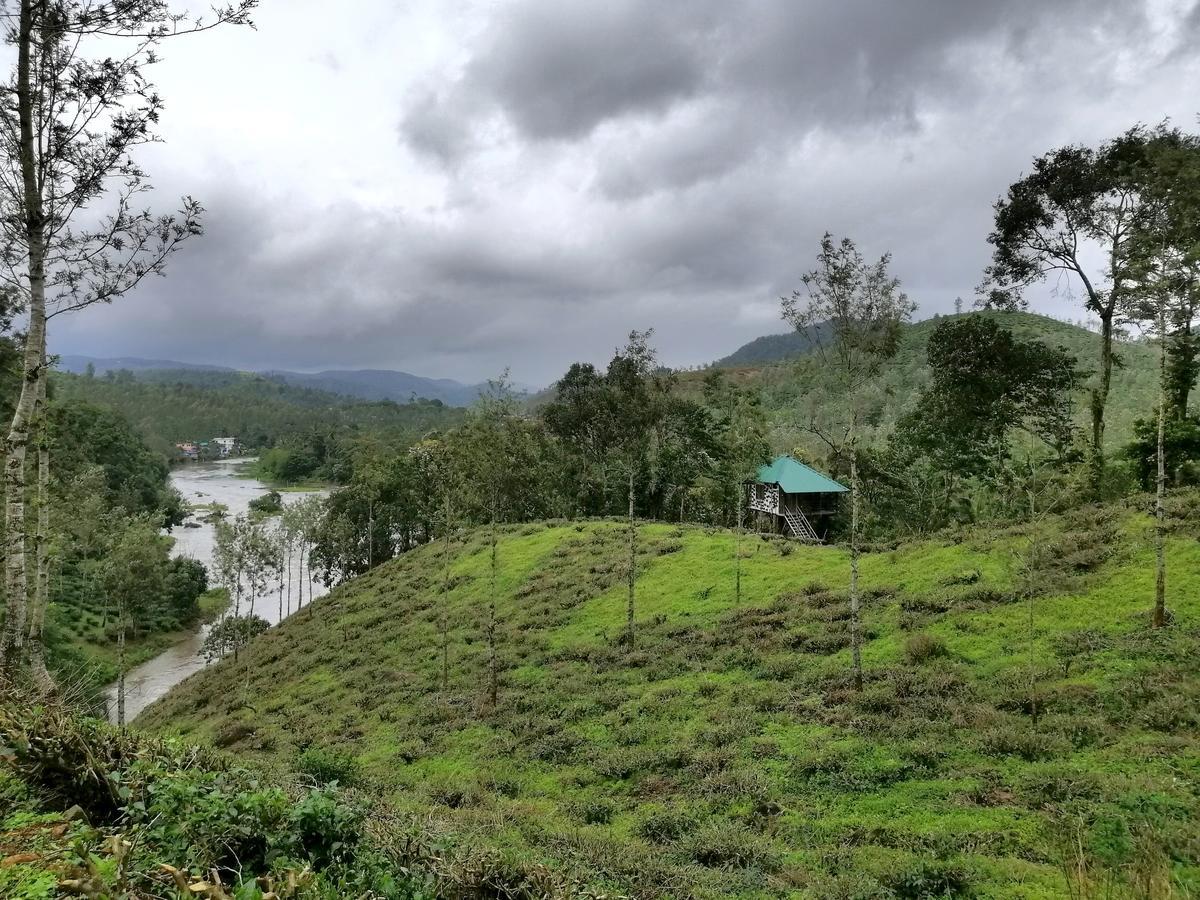 Noah'S Nest Tree House Apartment Thekkady Exterior photo