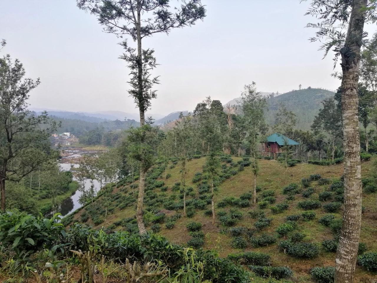 Noah'S Nest Tree House Apartment Thekkady Exterior photo