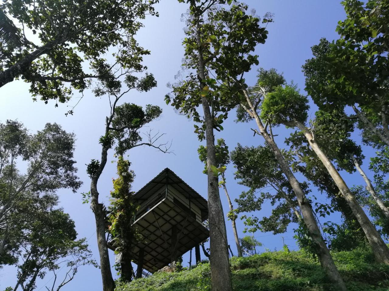 Noah'S Nest Tree House Apartment Thekkady Exterior photo