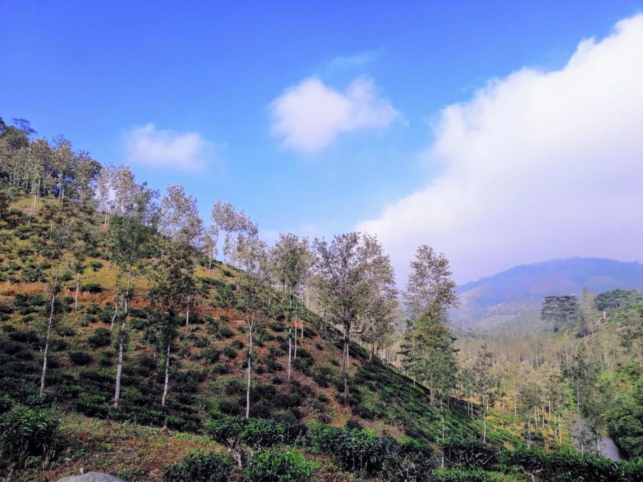 Noah'S Nest Tree House Apartment Thekkady Exterior photo